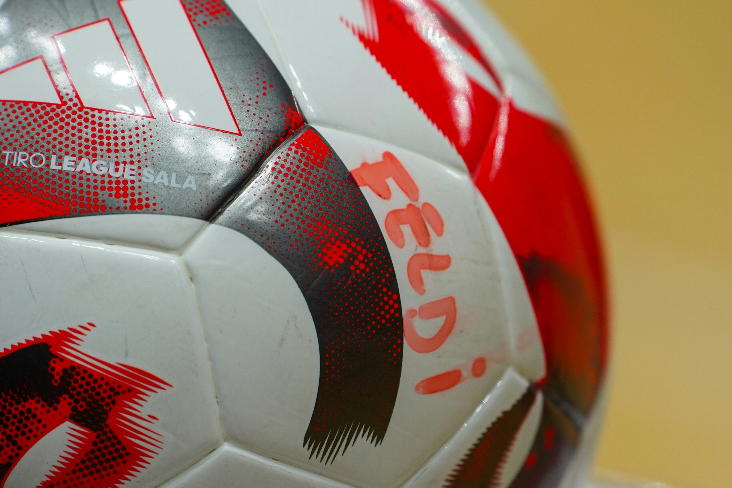 Saskatchewan’s Bold Shot at Soccer Fame in World Cup 2026