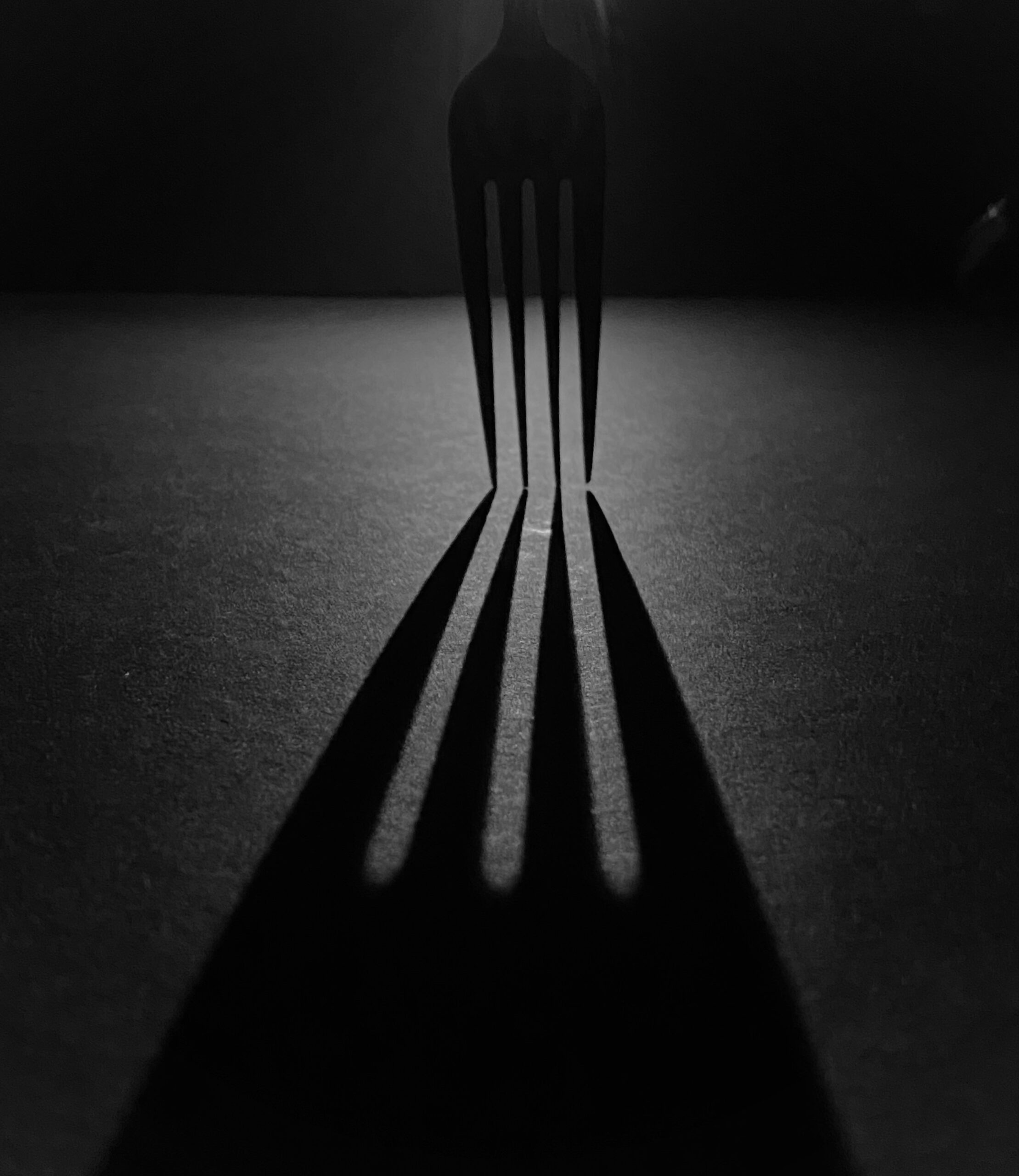 Alternative Education Models Are Catching On in New England as Families Rethink Traditional Schools