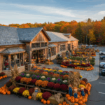 Beyond the Glitz: Home Depot’s Real Value in New England